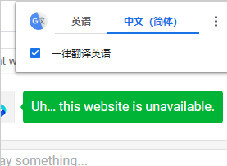 谷歌浏览器翻译显示服务器失败_谷歌浏览器翻译失败怎么办