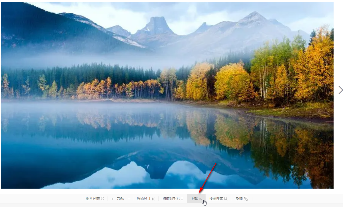 谷歌浏览器怎么将图片保存为jpg格式