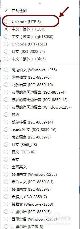 谷歌浏览器网页页面乱码怎么办4