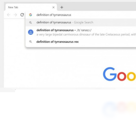 谷歌chrome浏览器老版本截图4