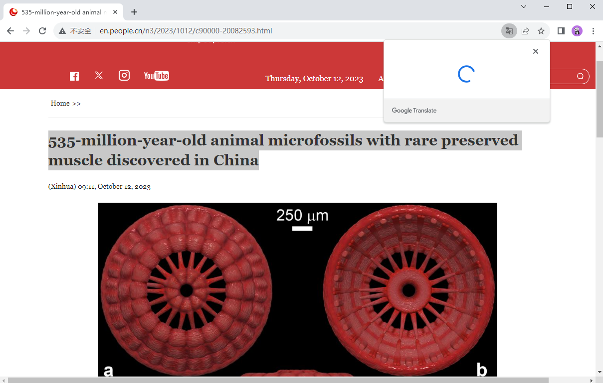 谷歌chrome浏览器Windows版截图6