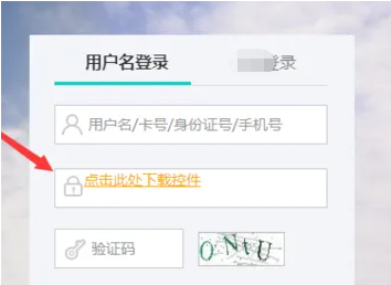 谷歌浏览器能网银支付吗5