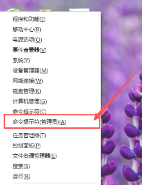 谷歌浏览器不能上网怎么办5