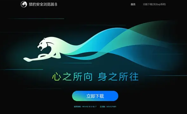 安全等级比较高的浏览器有哪些6