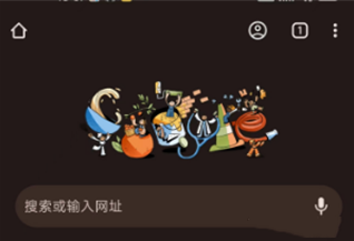 谷歌浏览器手机版怎么用2