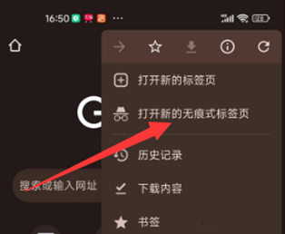 谷歌浏览器手机版怎么用3