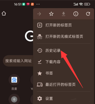 谷歌浏览器手机版怎么用6