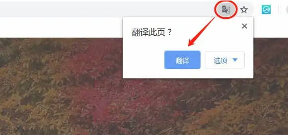 谷歌浏览器的翻译功能怎么打开