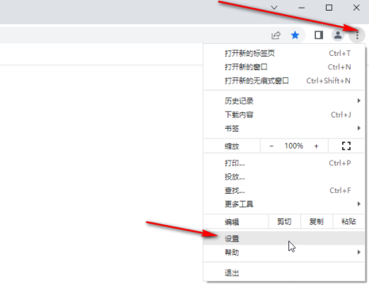 谷歌浏览器收藏栏怎么显示出来5