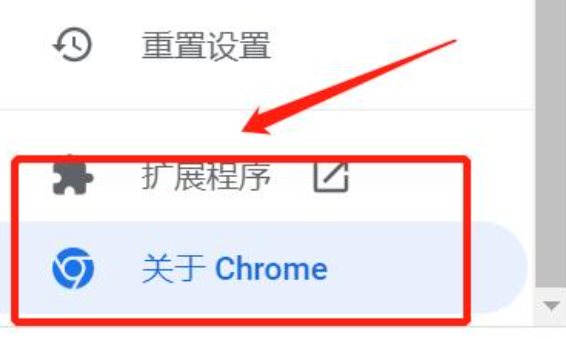 如何查看google浏览器的版本信息3