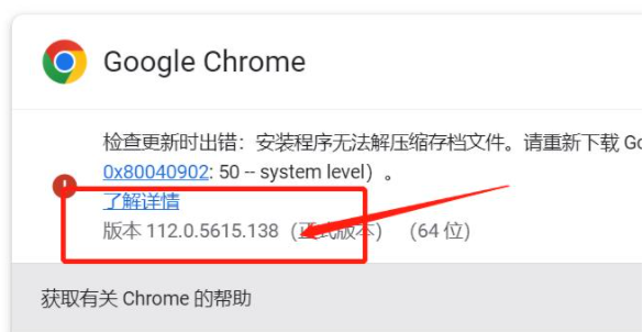 如何查看google浏览器的版本信息4