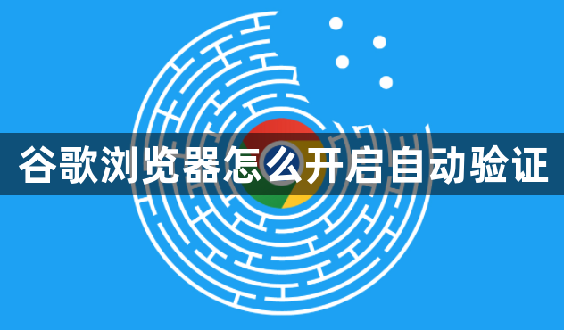 谷歌浏览器怎么开启自动验证1