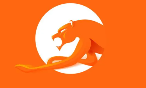 什么浏览器可以访问网站不受限制6