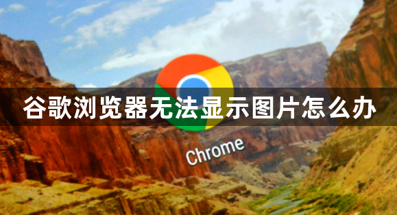 谷歌浏览器无法显示图片怎么办1