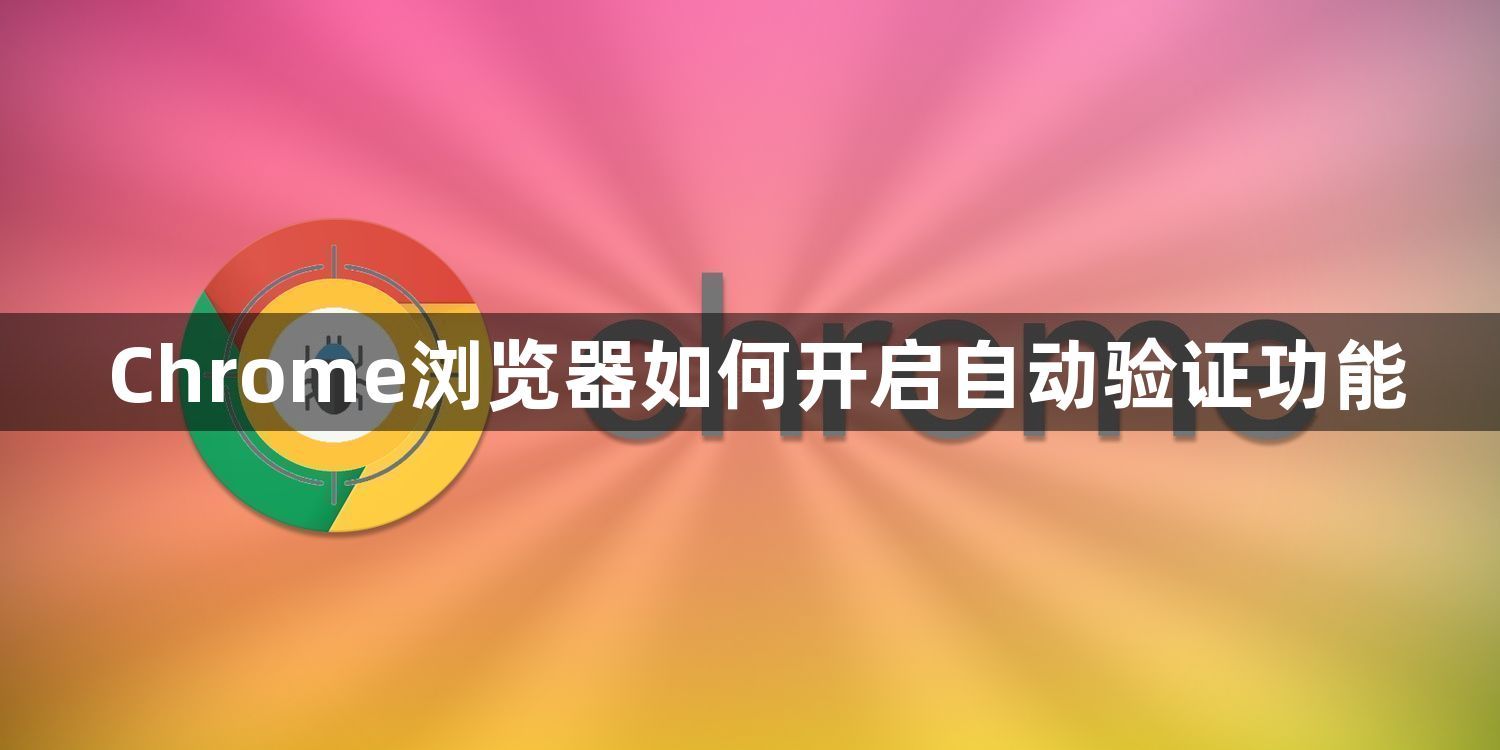 Chrome浏览器如何开启自动验证功能1