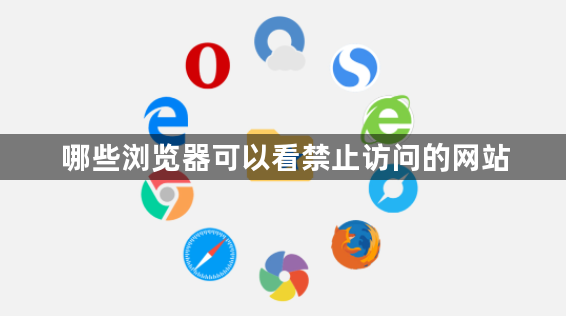 哪些浏览器可以看禁止访问的网站1