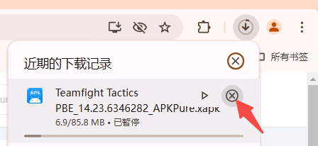 谷歌浏览器的下载管理工具5