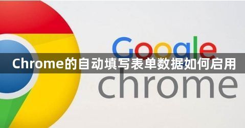 Chrome的自动填写表单数据如何启用1