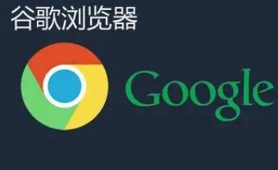 如何在Chrome浏览器中启用或禁用访问权限