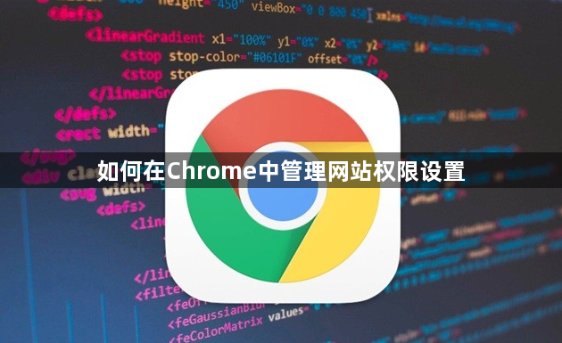 如何在Chrome中管理网站权限设置1