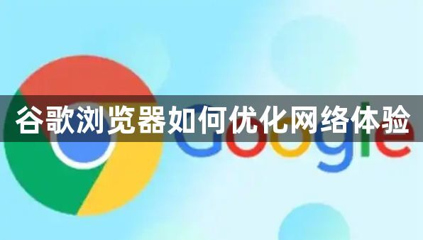 谷歌浏览器如何优化网络体验1