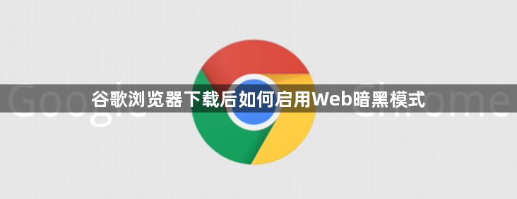 谷歌浏览器下载后如何启用Web暗黑模式1