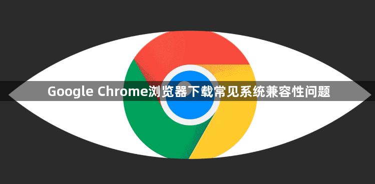 Google Chrome浏览器下载常见系统兼容性问题1