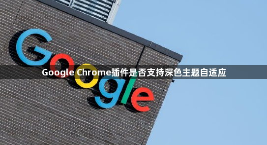 Google Chrome插件是否支持深色主题自适应1