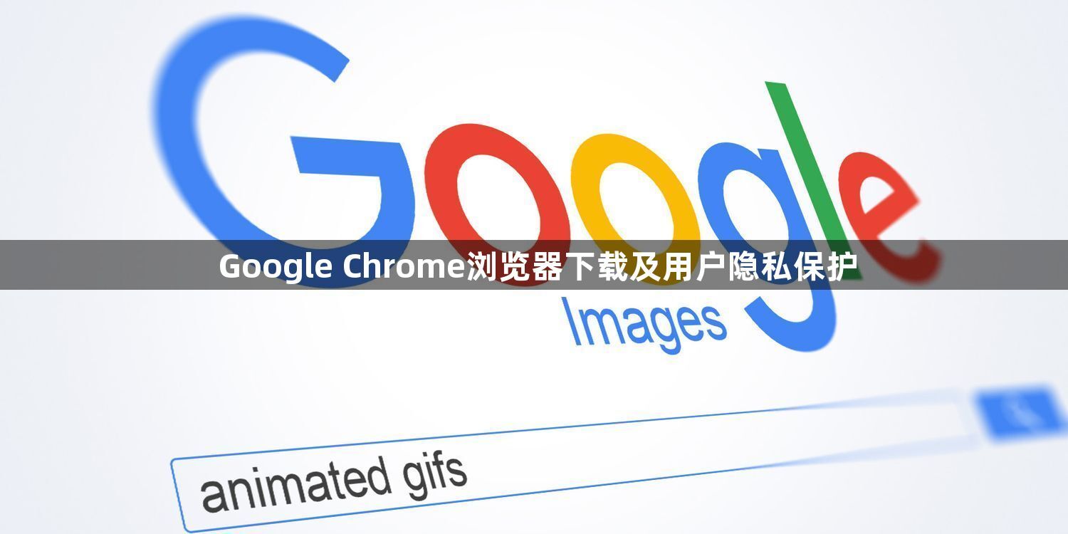 Google Chrome浏览器下载及用户隐私保护1