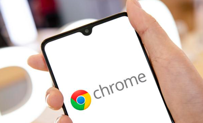Google Chrome浏览器插件权限申请流程优化的方法1