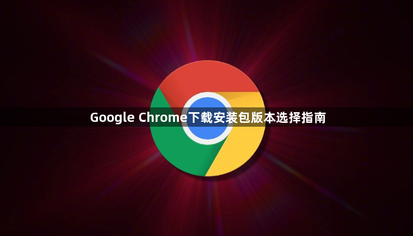 Google Chrome下载安装包版本选择指南1