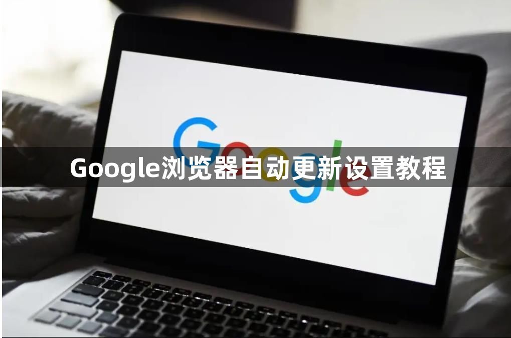 Google浏览器自动更新设置教程1
