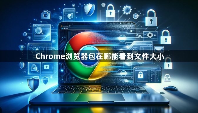 Chrome浏览器包在哪能看到文件大小1