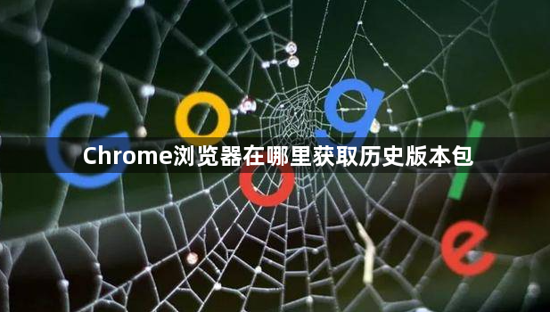 Chrome浏览器在哪里获取历史版本包1