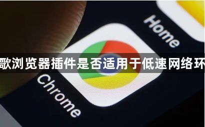 谷歌浏览器插件是否适用于低速网络环境1