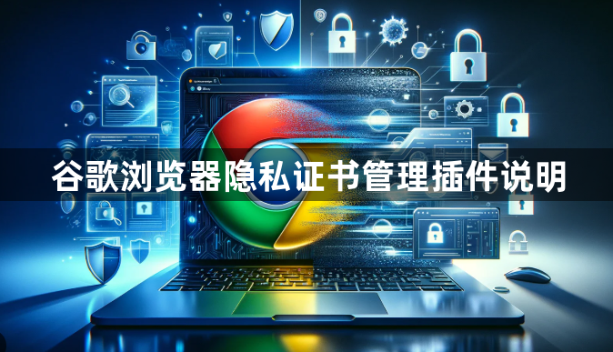 谷歌浏览器隐私证书管理插件说明1