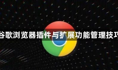 谷歌浏览器插件与扩展功能管理技巧1