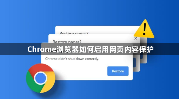 Chrome浏览器如何启用网页内容保护1
