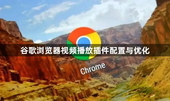 谷歌浏览器视频播放插件配置与优化1