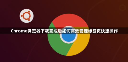 Chrome浏览器下载完成后如何高效管理标签页快捷操作1