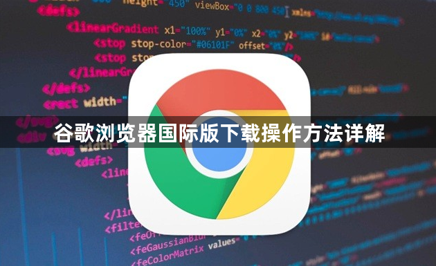 谷歌浏览器国际版下载操作方法详解1