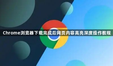 Chrome浏览器下载完成后网页内容高亮深度操作教程1