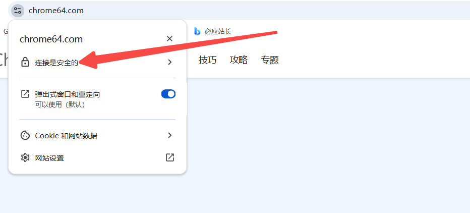 如何通过Chrome浏览器查看并删除网站的HTTPS证书2