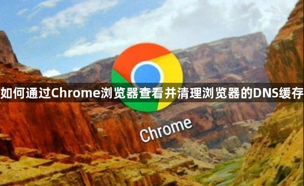 如何通过Chrome浏览器查看并清理浏览器的DNS缓存1