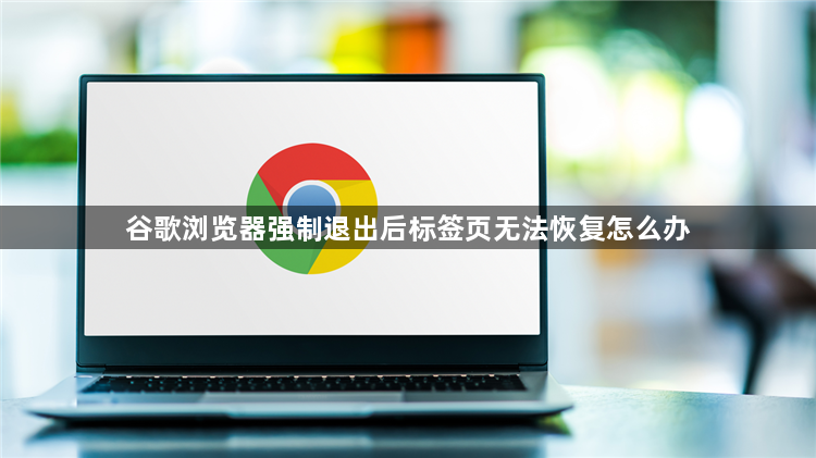 谷歌浏览器强制退出后标签页无法恢复怎么办1