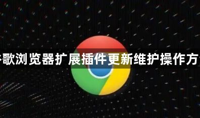 谷歌浏览器扩展插件更新维护操作方法1