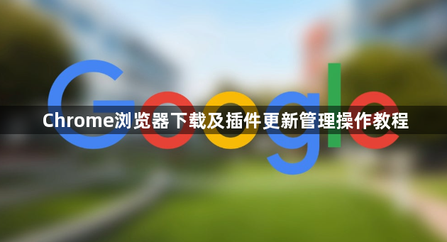 Chrome浏览器下载及插件更新管理操作教程1