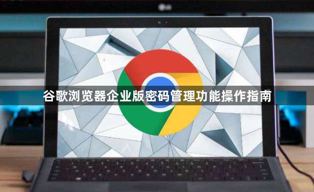 谷歌浏览器企业版密码管理功能操作指南1